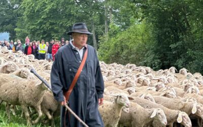 Einladung zur Mitgliederversammlung am 17. April